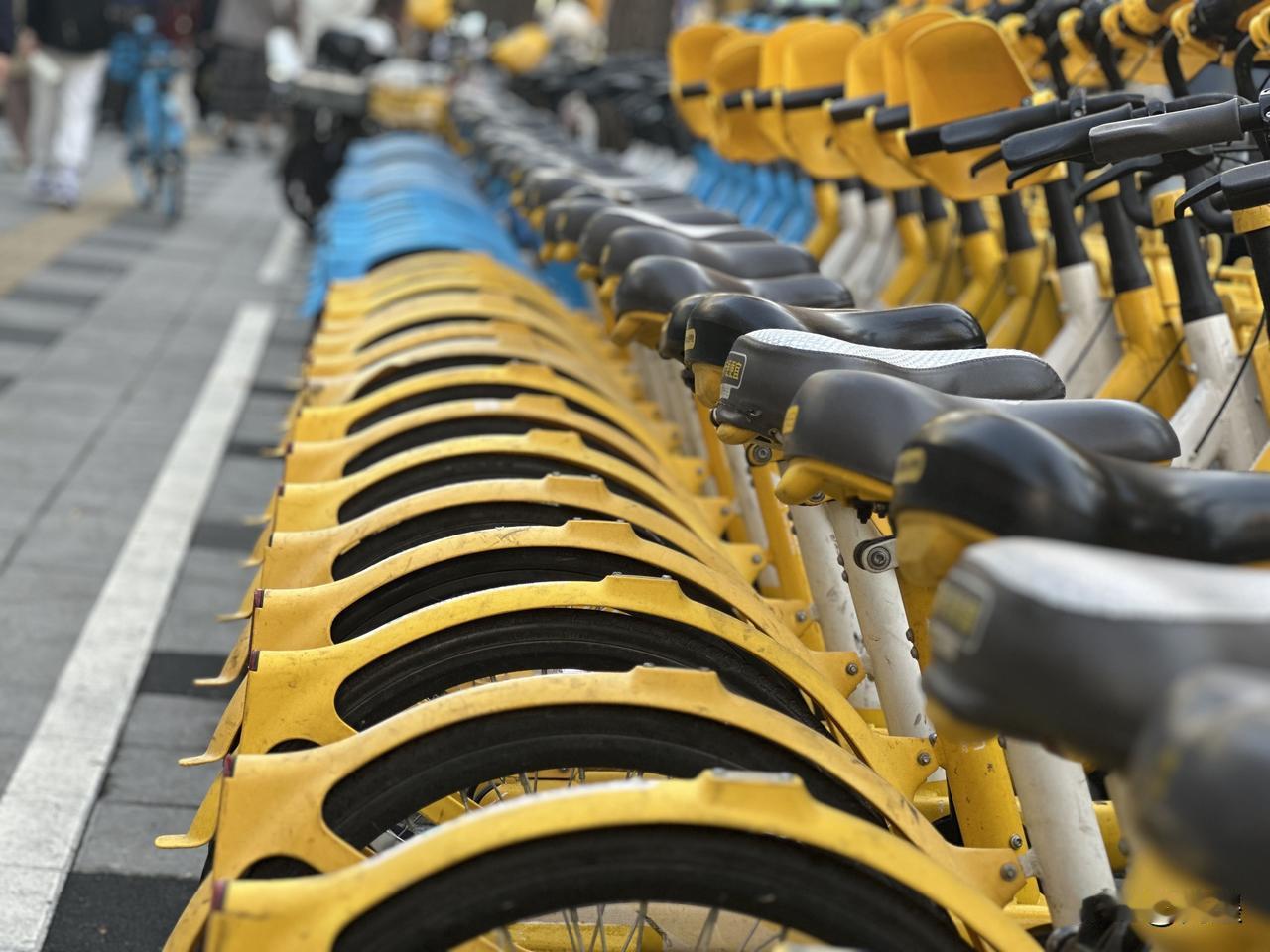 可恶的秩序感……无秩序则无自由 网络社会秩序 公共秩序陷阱