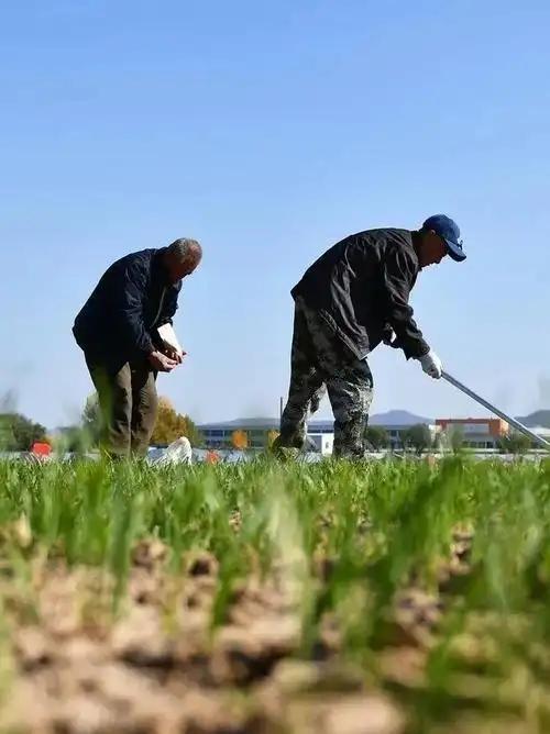 现在我们国家有一个非常矛盾的问题，都知道农民种地不赚钱，但粮食却不能涨价，因为粮