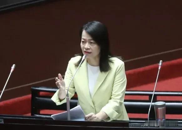 主张修《选罢法》提高门槛　许宇甄：罢免成输不起者的报复工具

国民党团下周将调高