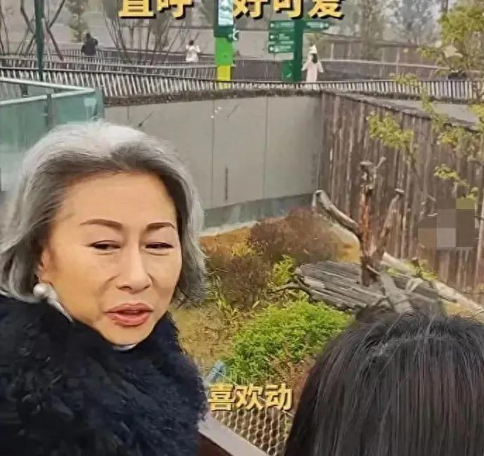 叶倩文去成都看大熊猫～62岁的她素面朝天，不施粉黛，尽显天然的清新气质，一头浓密
