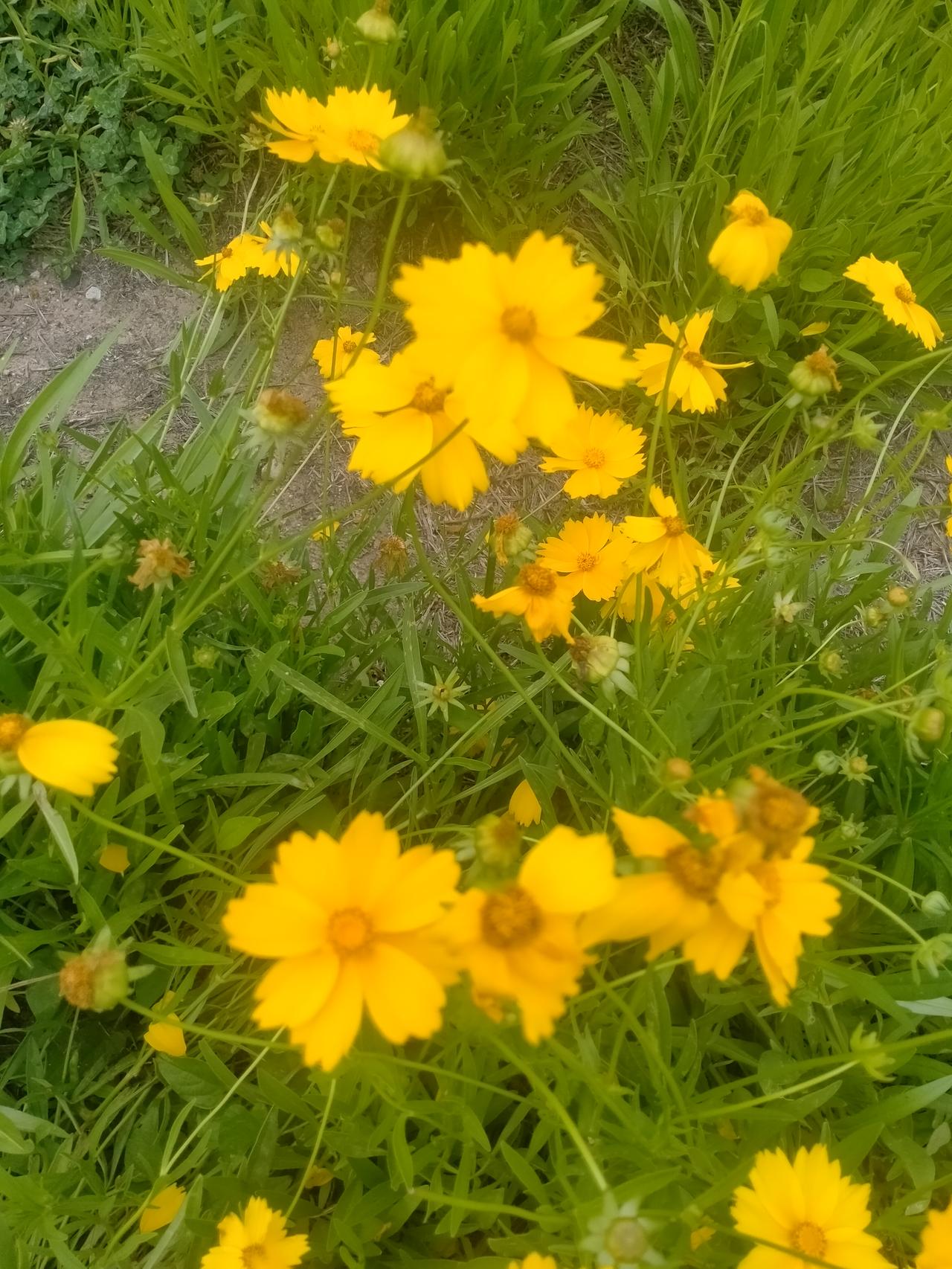 江河湖海都是水，
高山丘陵花满坡。