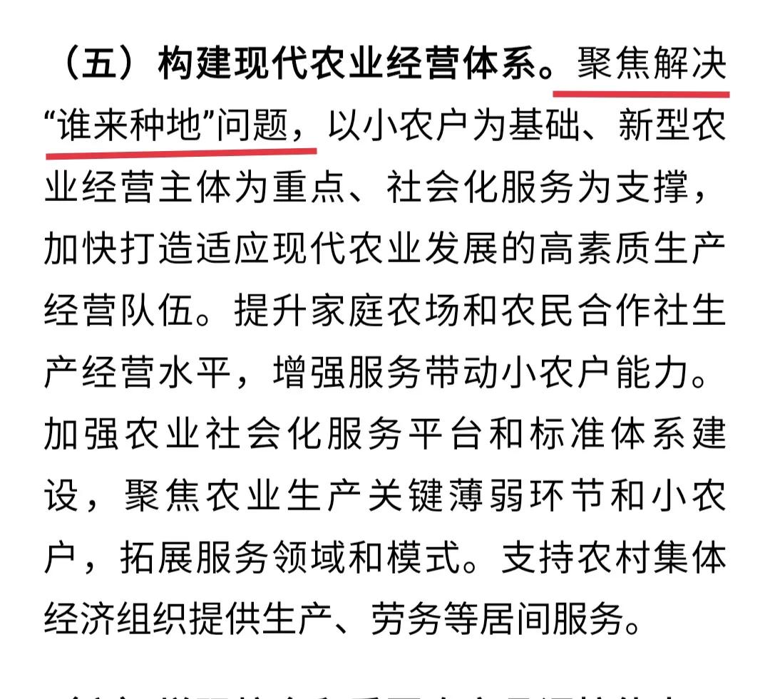 中央一号文件，提出聚焦解决“谁来种地”的问题。这确实需要聚焦了。

现在农村种地