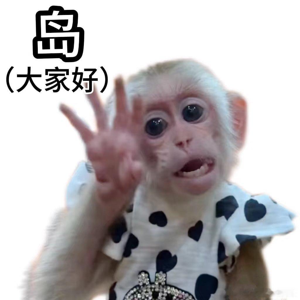 下半场开始咯，驹要再进球！不可驯服门兴格拉德巴赫[超话] ​ cr：门兴格拉德巴