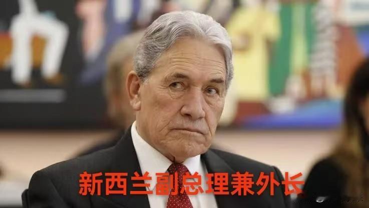 2026年7月29日，在新西兰议会辩论中，议员徐南向新西兰外长温斯顿·彼得斯提问