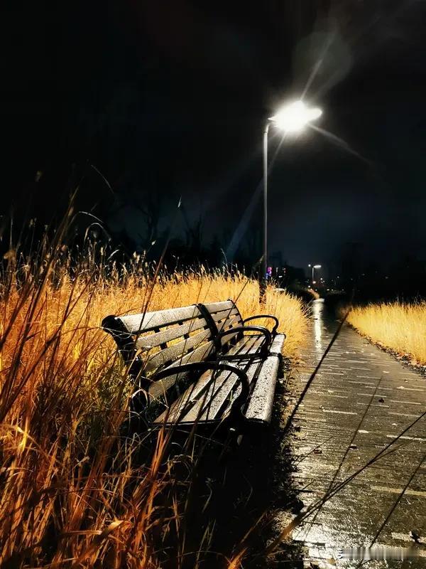 我所以习惯孤独
因为你或许也在等
天晓即白
失去你，哪怕梦醒
这一生不辜负
我愿