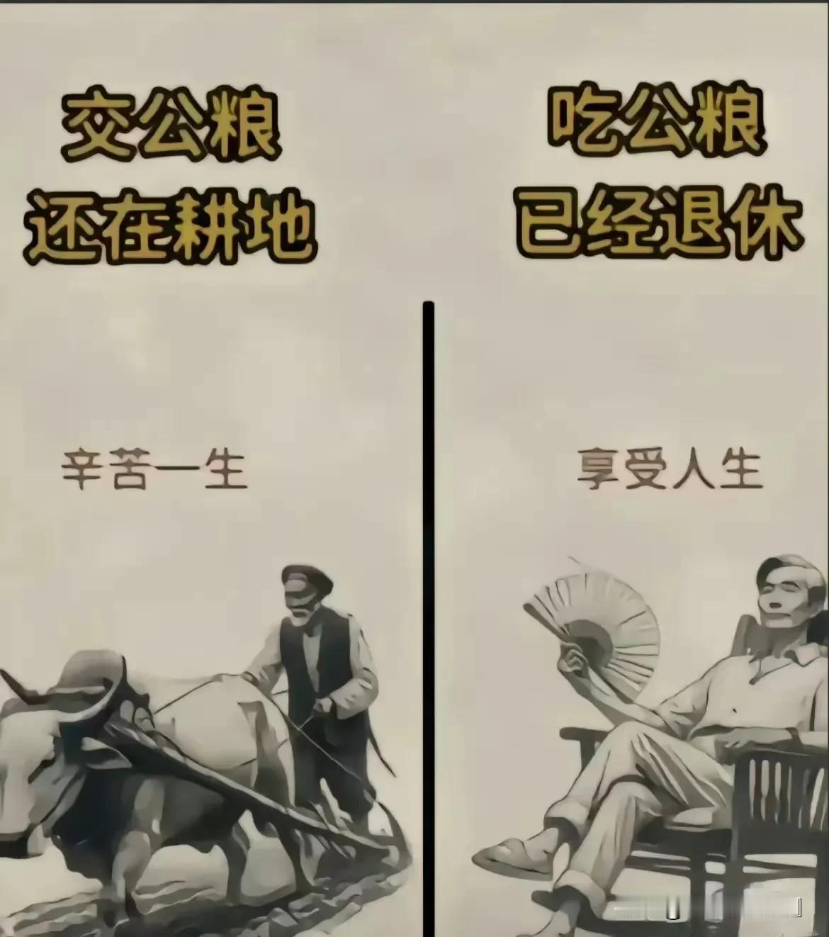 这或许就是如今很多年轻人不想要孩子的主要原因吧？很多人担心孩子生下来就注定了辛苦