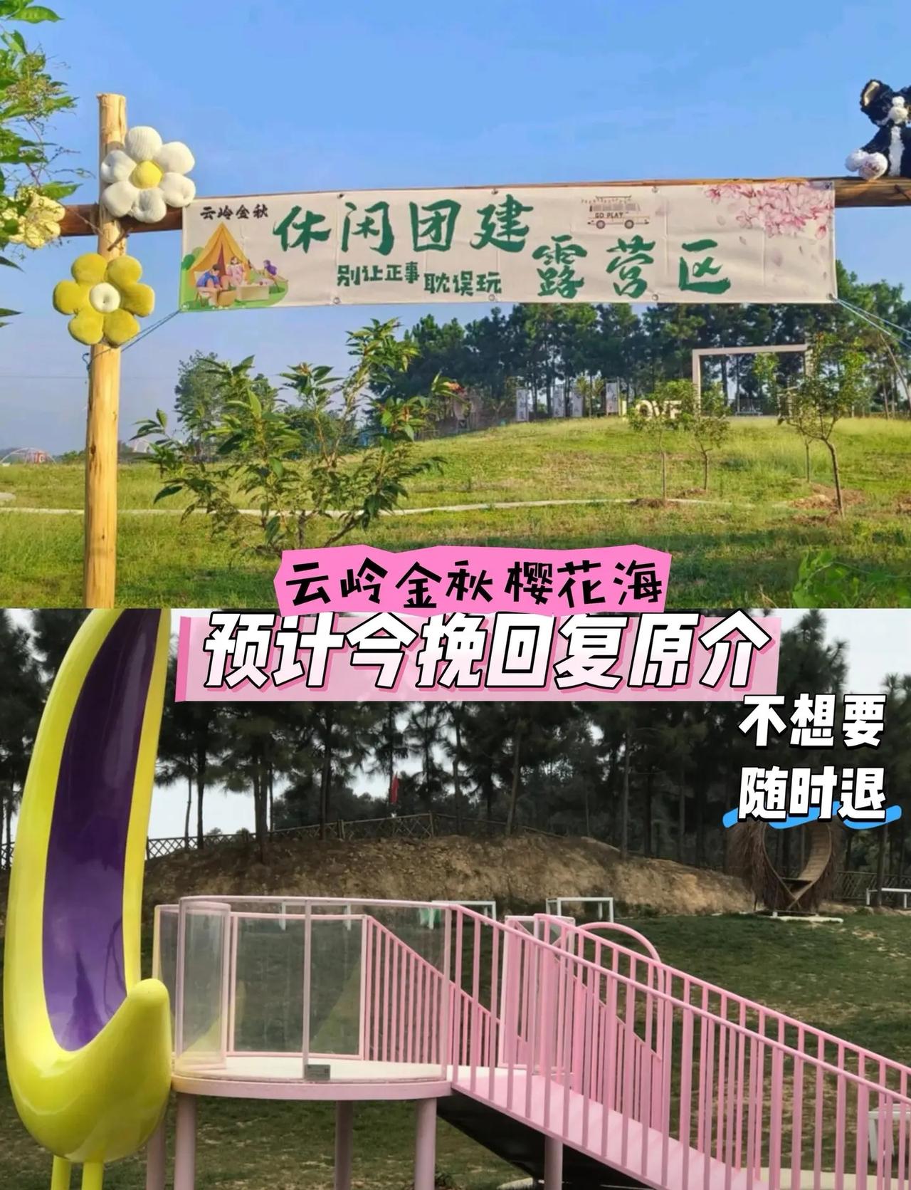 云岭金秋樱花海旅行攻略参考 户外探险日记 户外休闲好去处 城市周边游