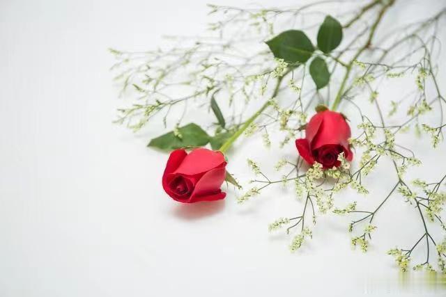 我跟我前妻离婚一年多，离婚后不到半年她向我提出复婚，也仅仅是提了这么句话，中间也