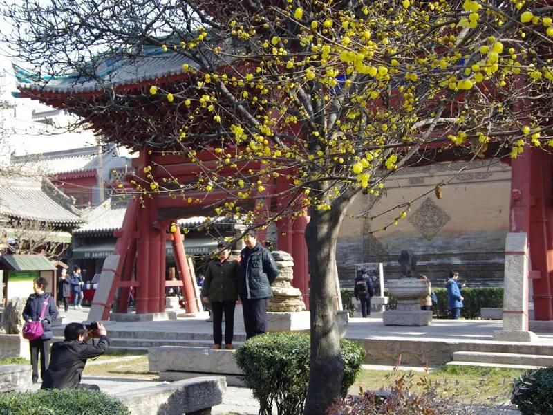 七绝 古寺
古寺深藏秀山中，
普度众生万古同。
山因古寺添灵气，
寺有灵气香火红