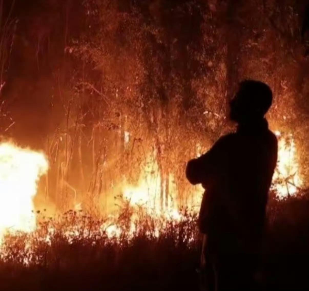 智利大火突袭车厘子主产区，春节前“车厘子自由”要泡汤？当地时间1月20日，智利中