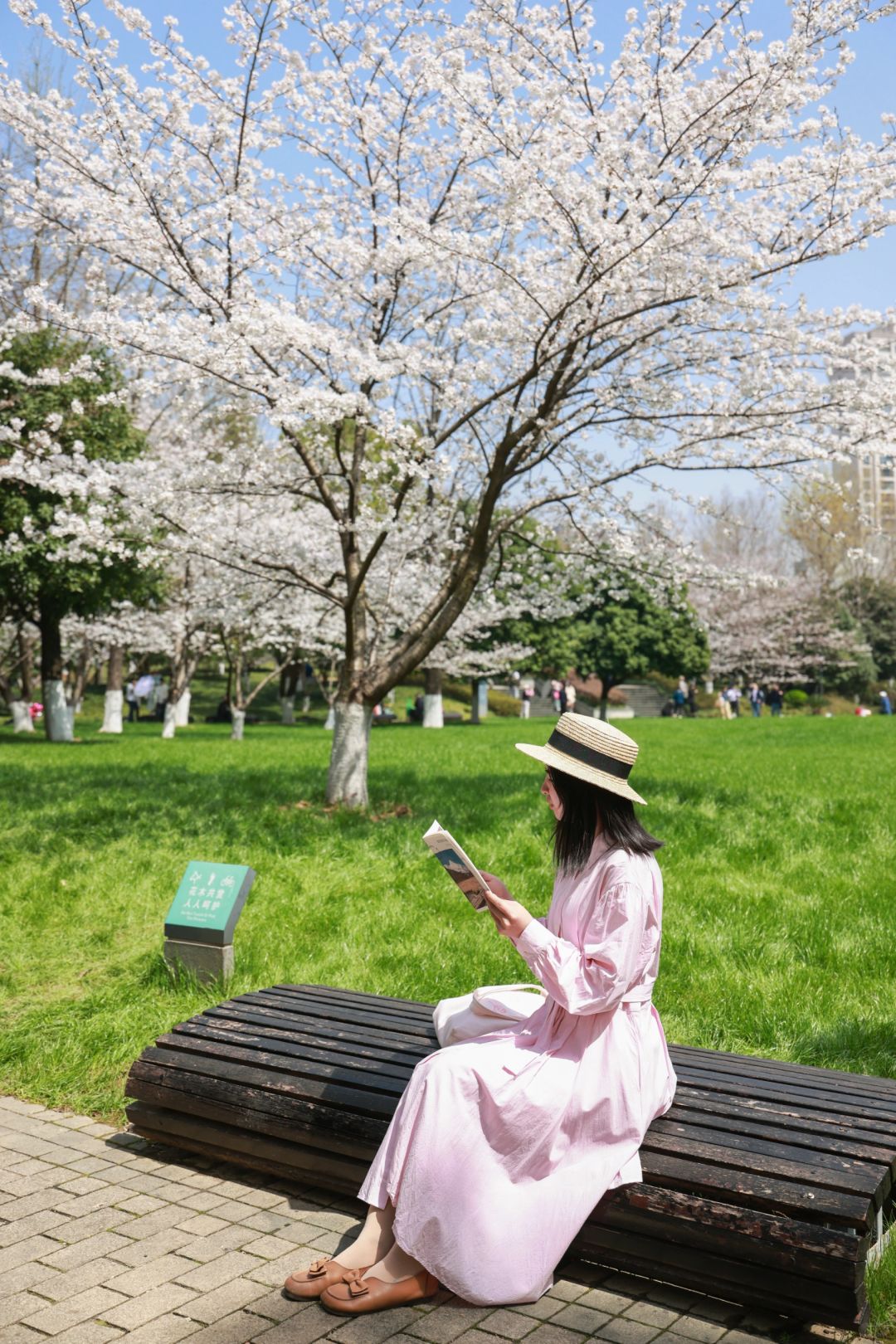 我愿称武汉市区最美樱花❗️氛围感不输东湖