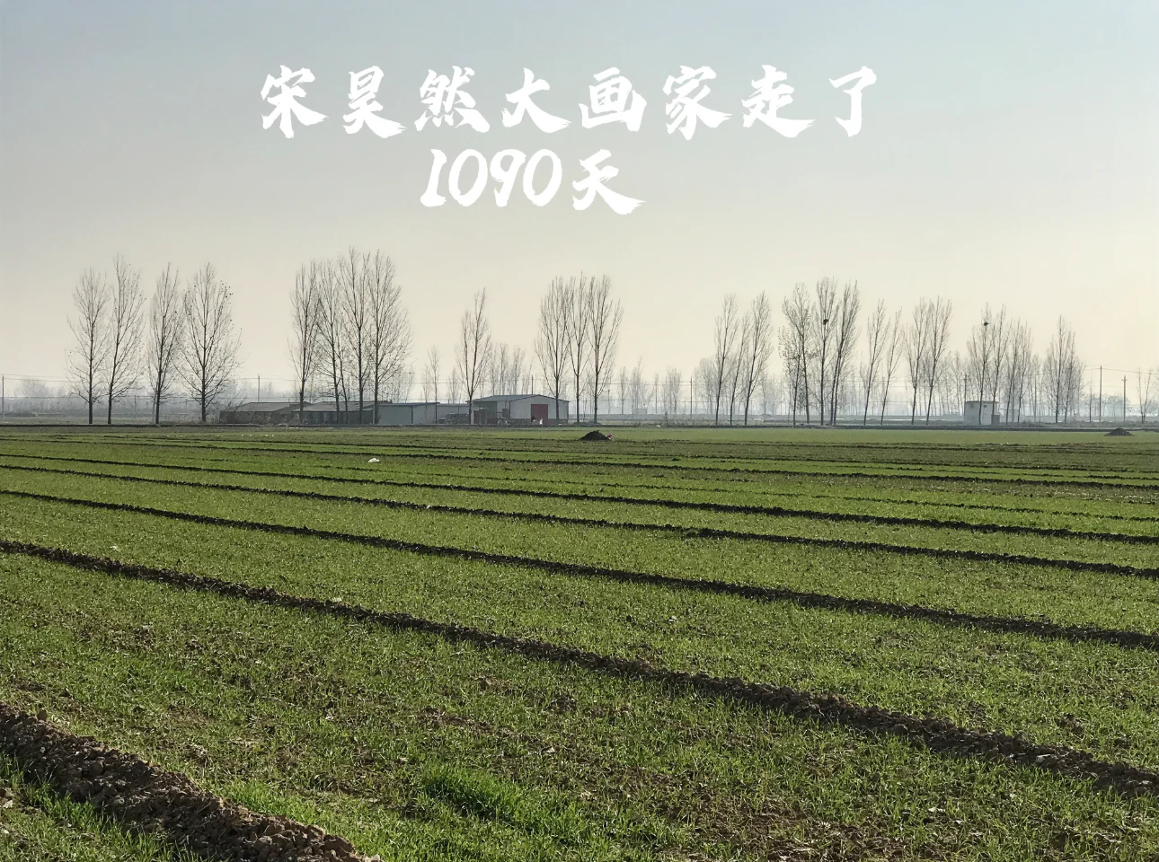宋昊然大画家走了1090天