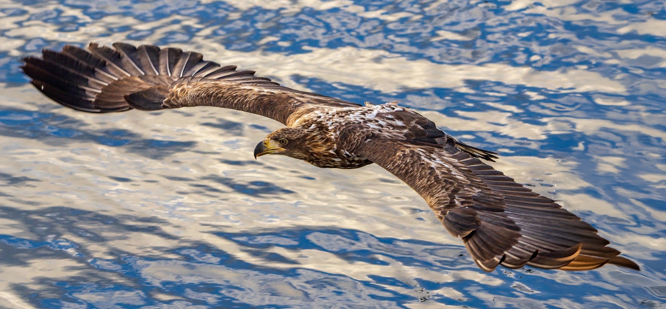 今天团队到达北海道带广休整，入住当地最好酒店，享受和牛大餐后，开始一起修片交流。