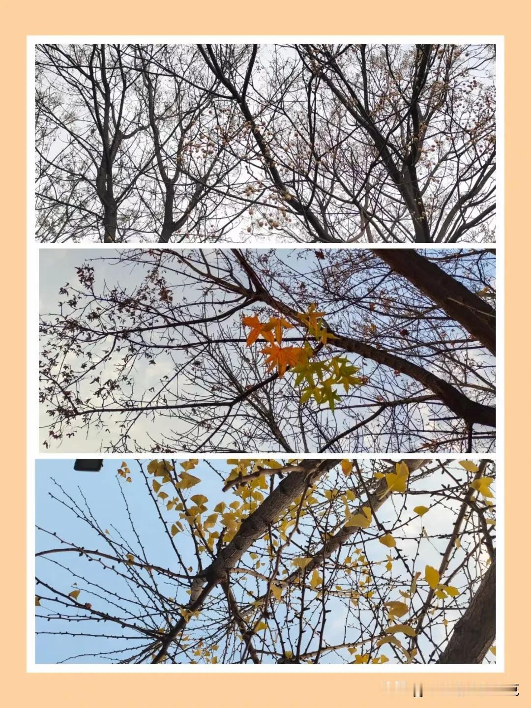 #记录我的2024#
重复是最重要的学习方法！不间断的重复是最重要的学习方法中的
