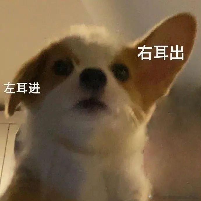 分享图片 ​​​