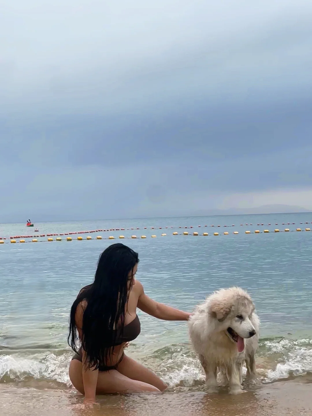 记得带你的小狗去看海