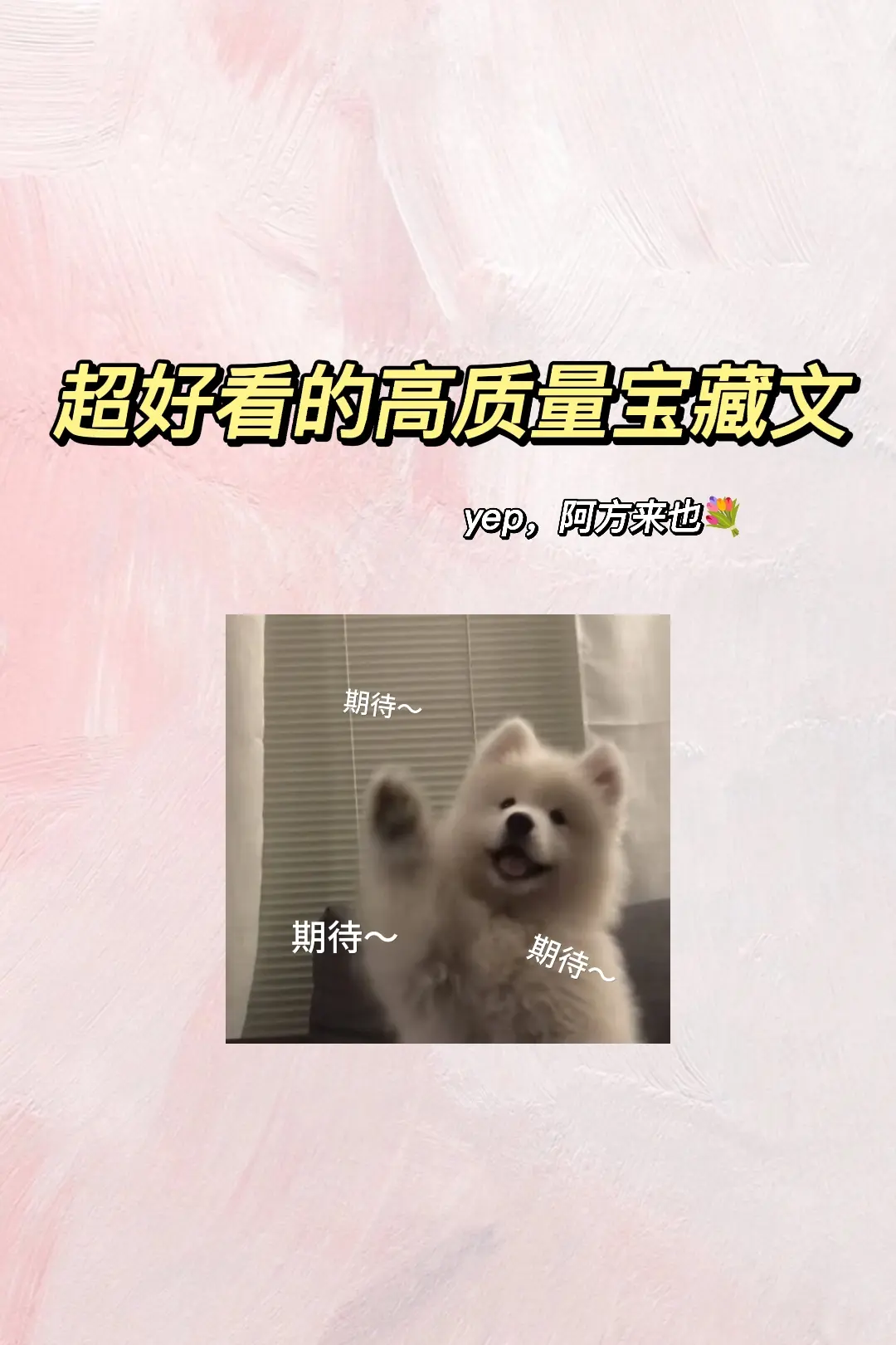 宝藏文~阿方来啦！