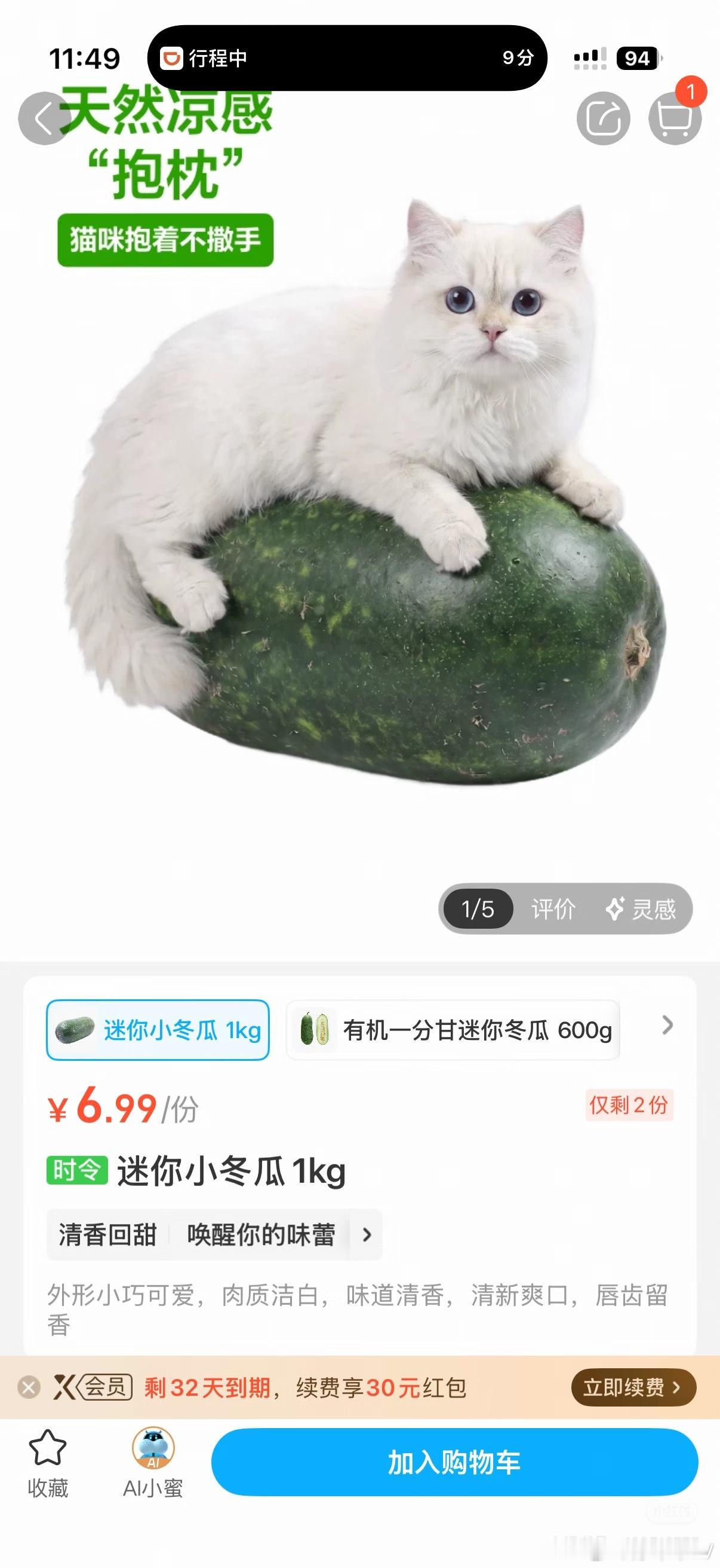 盒马 这么有梗吗，哈哈哈猫瓜猫咪
