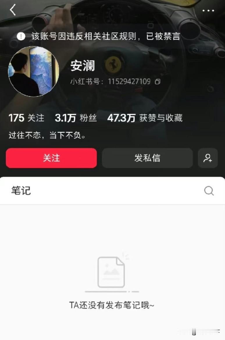 有些网红真恶心，你没钱就不要装B，批图诈捐是几个意思，小红书上一个叫安澜的博主，