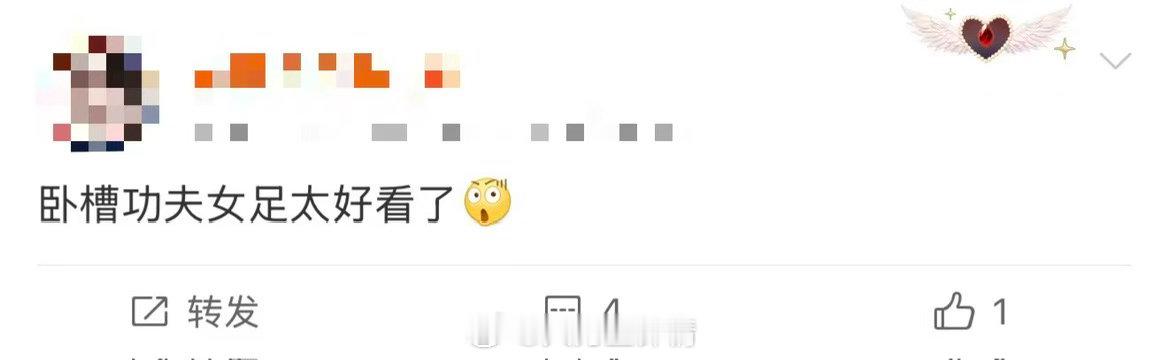 功夫女足张艺兴道歉像来砸场子功夫女足揍了么订单已送达电影功夫女足娥眉队所有人都憋