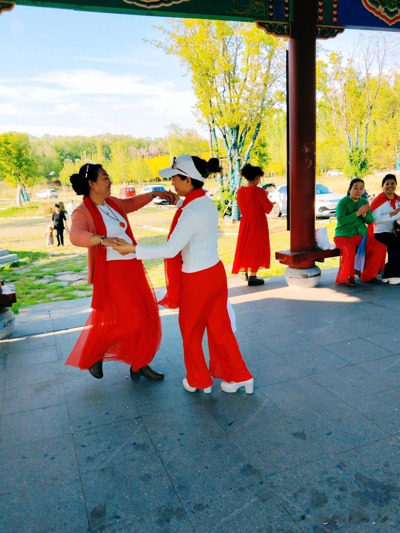 春日生活打卡季春日里人们欢心雀跃，在七星湖岸边，休闲亭下二人翩翩起舞，悠闲自得其