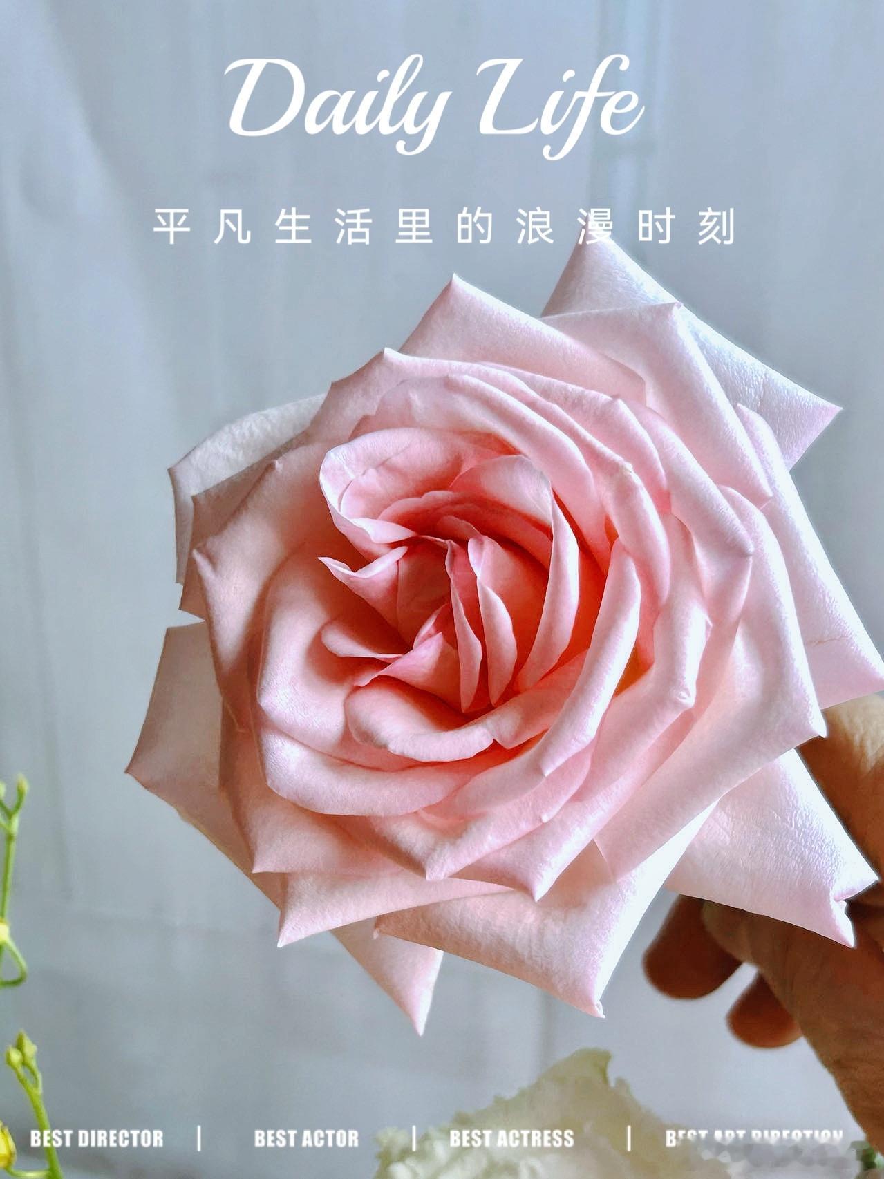 #早安# 时间对待所有人都是公平的，是努力让每一段人生与众不同。早上好[鲜花][