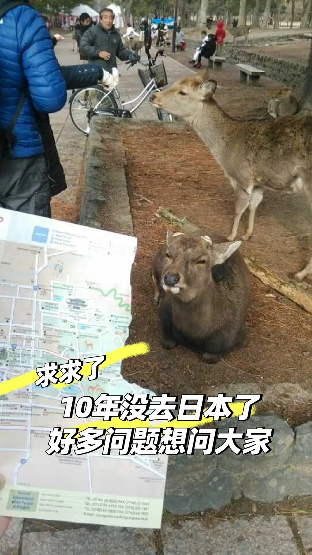 10年没去了，东进阪出，请大家支招