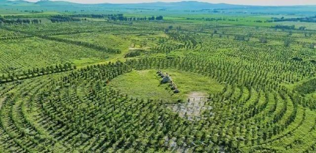 就凭这两张照片，中方就敢告诉白宫：任何战争美国都别想赢！几十年前的老照片里，那片