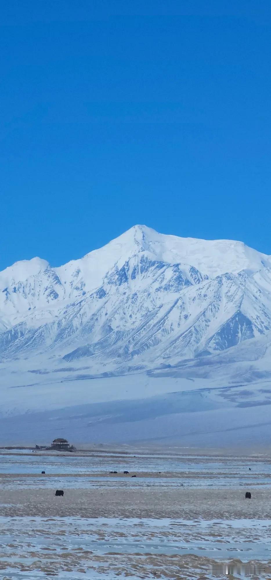 嗨拼帕米尔6日旅拍
自由散漫的凉风会治愈乱糟糟的坏心情🧣·12月12日三哥说 