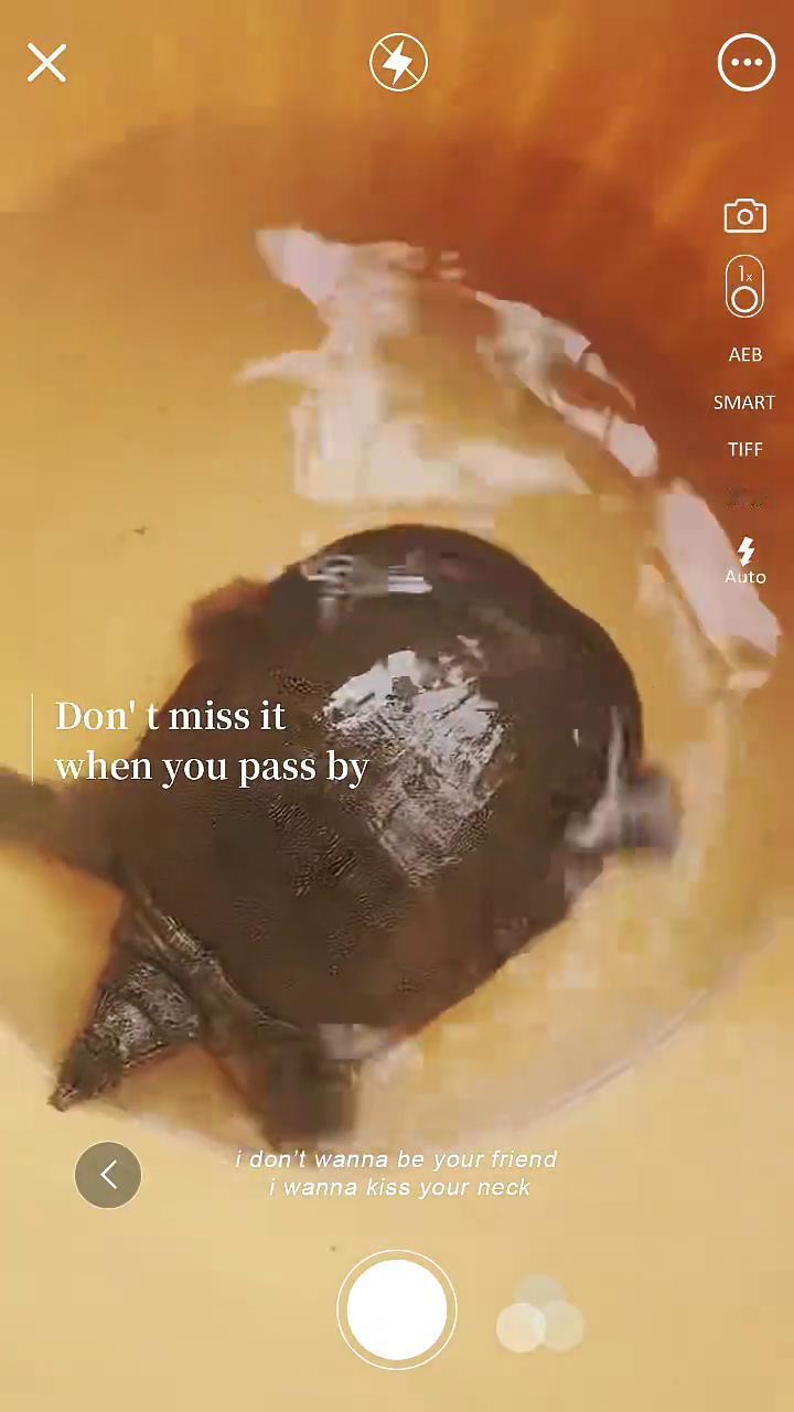 Don't miss it when you pass by，i don't w