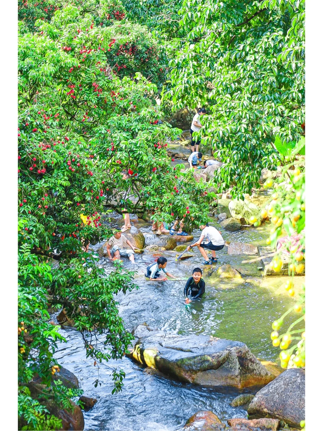 广州避暑宝藏地｜荔枝树下溯溪玩水嬉戏💦