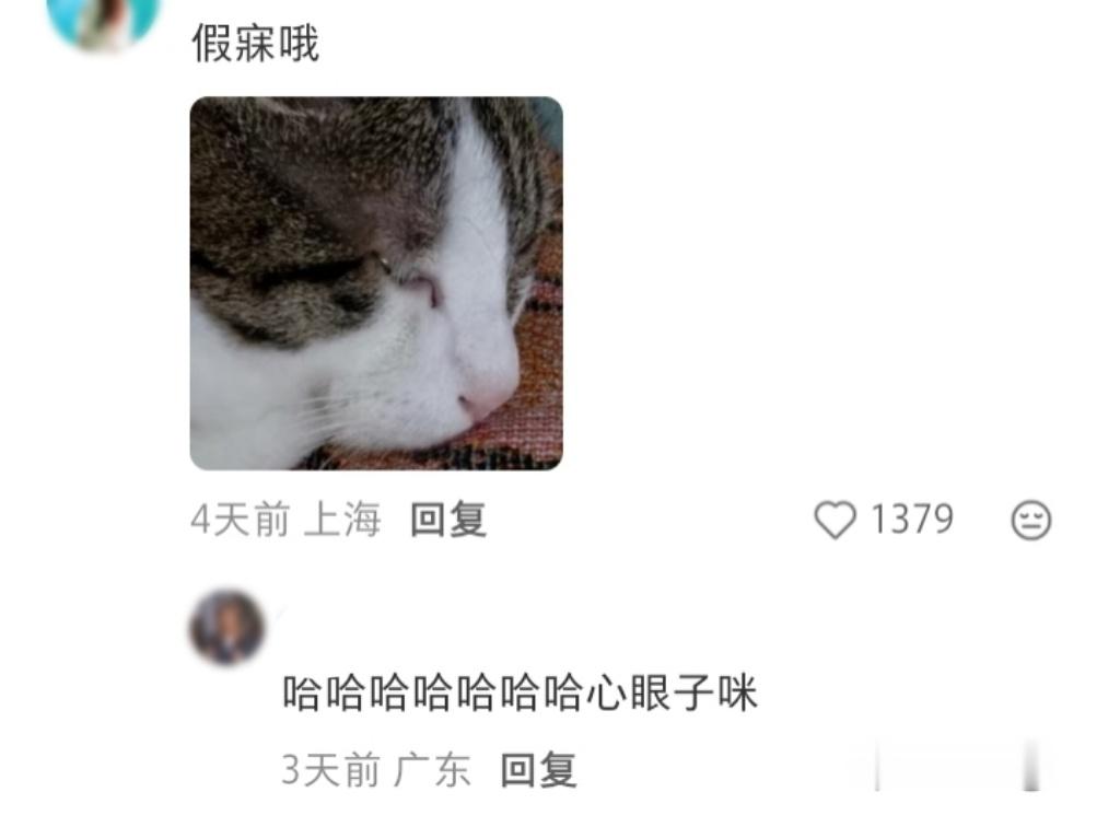 互相讨厌但喜欢同一个沙发时 