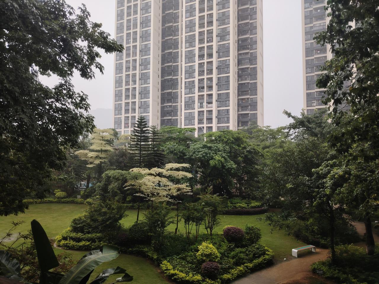 出去菜市场买个菜，突然下起了雨，没带伞！差点成了落汤鸡了！江南好风景！雨天不慌乱