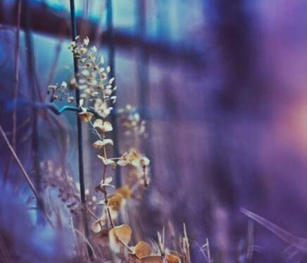 十二星座情绪失控时的表现：白羊座：旋转暴躁，被误伤概率50%金牛座：压抑压抑，压