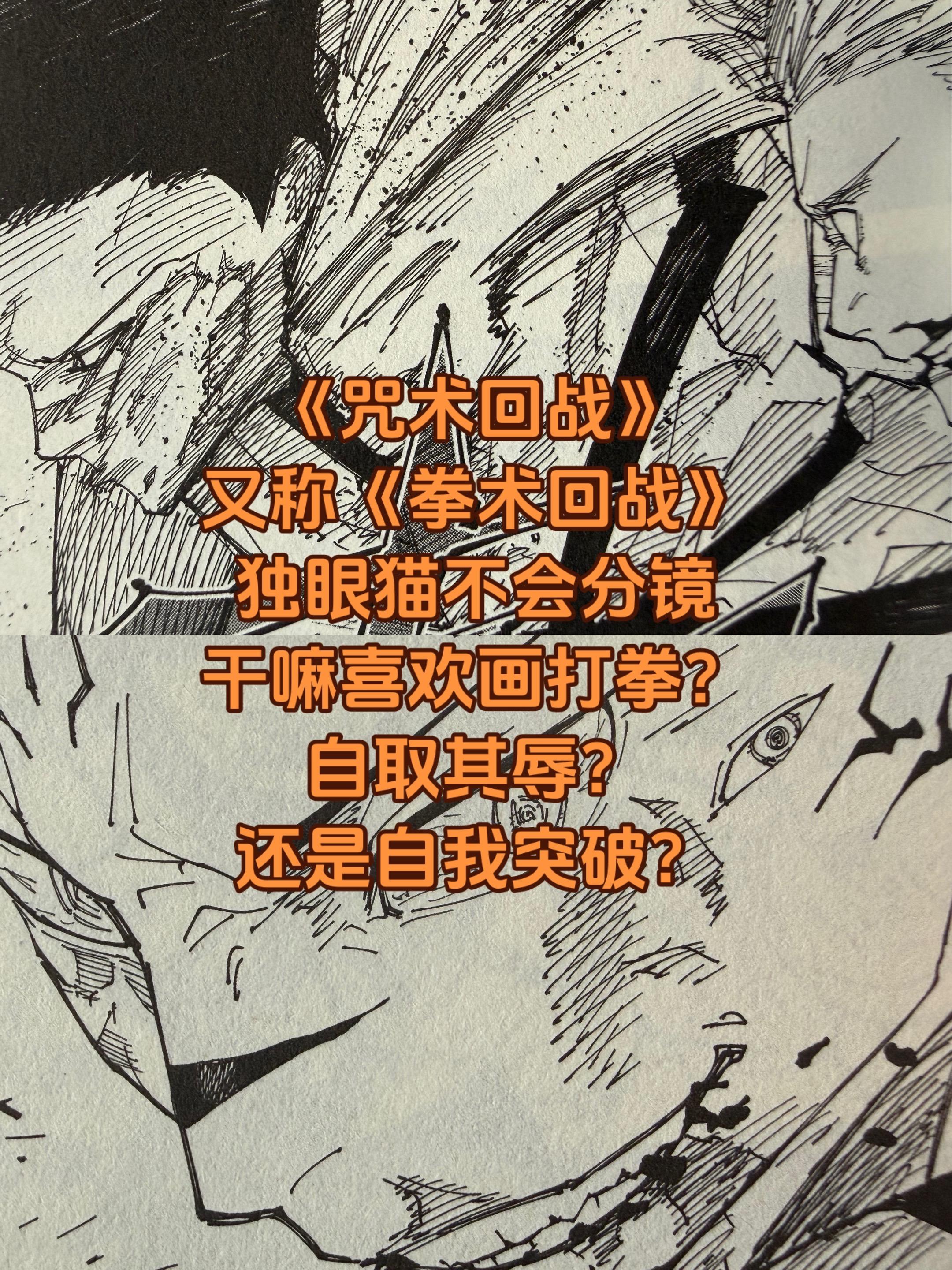 独眼猫不会分镜，完全看不懂。《咒术回战》的战斗模式完全也可以大喊一声结束战斗！