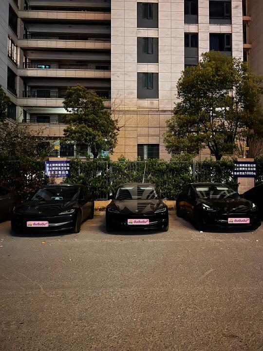 吃个饭出来就发现边上多了两只毛豆😂