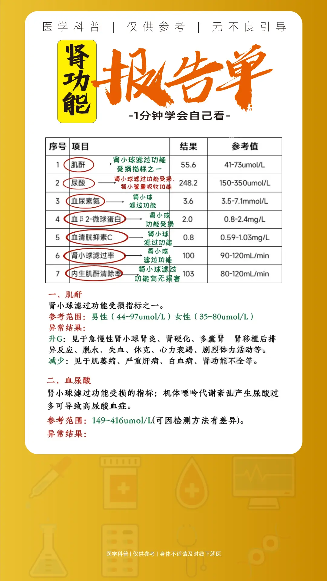 肾功能怎么看？