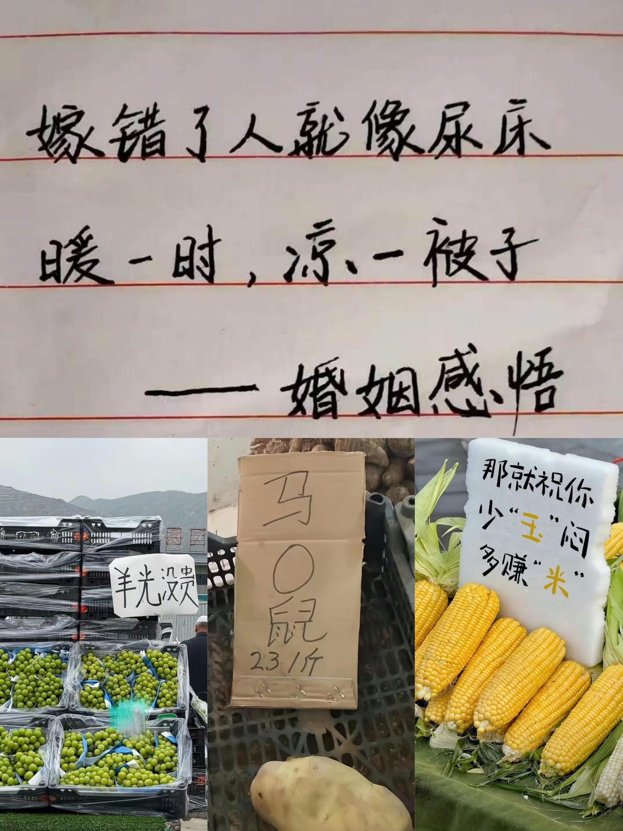 你可以永远相信中国人的语言天赋，太有才了[大笑打call][大笑打call][大