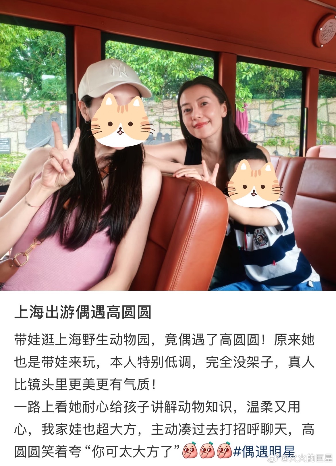 好幸运捏偶遇高圆圆带娃逛上海野生动物园上海出游偶遇高圆圆 ​​​