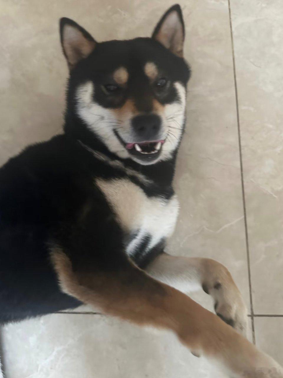 什么玩意儿……iPhone你在逗我嘛