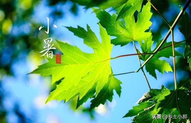 今年小暑不一般，60年难遇，有3个特点，哪天小暑？今夏有多热？
 
二十四节气是