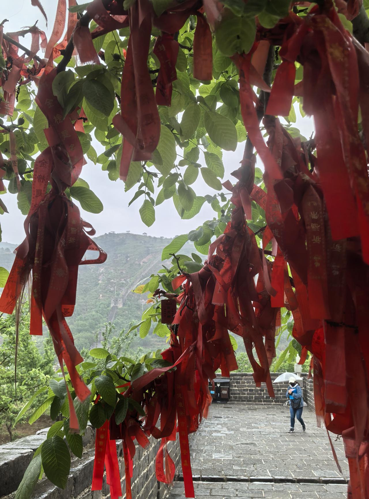 最舒服的睡觉方式，你中了几条？

上班时最痛苦的就是熬大夜班，刚退休还不适应不熬