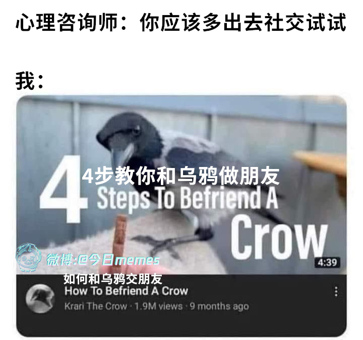 交鸡圈（9gag）今日meme 今日memes