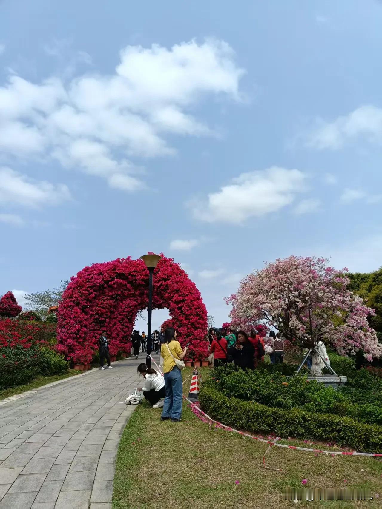 春光正好，东莞植物园成了花的盛宴。踏入园区，空气中弥漫着淡淡花香，寻香而去，首先