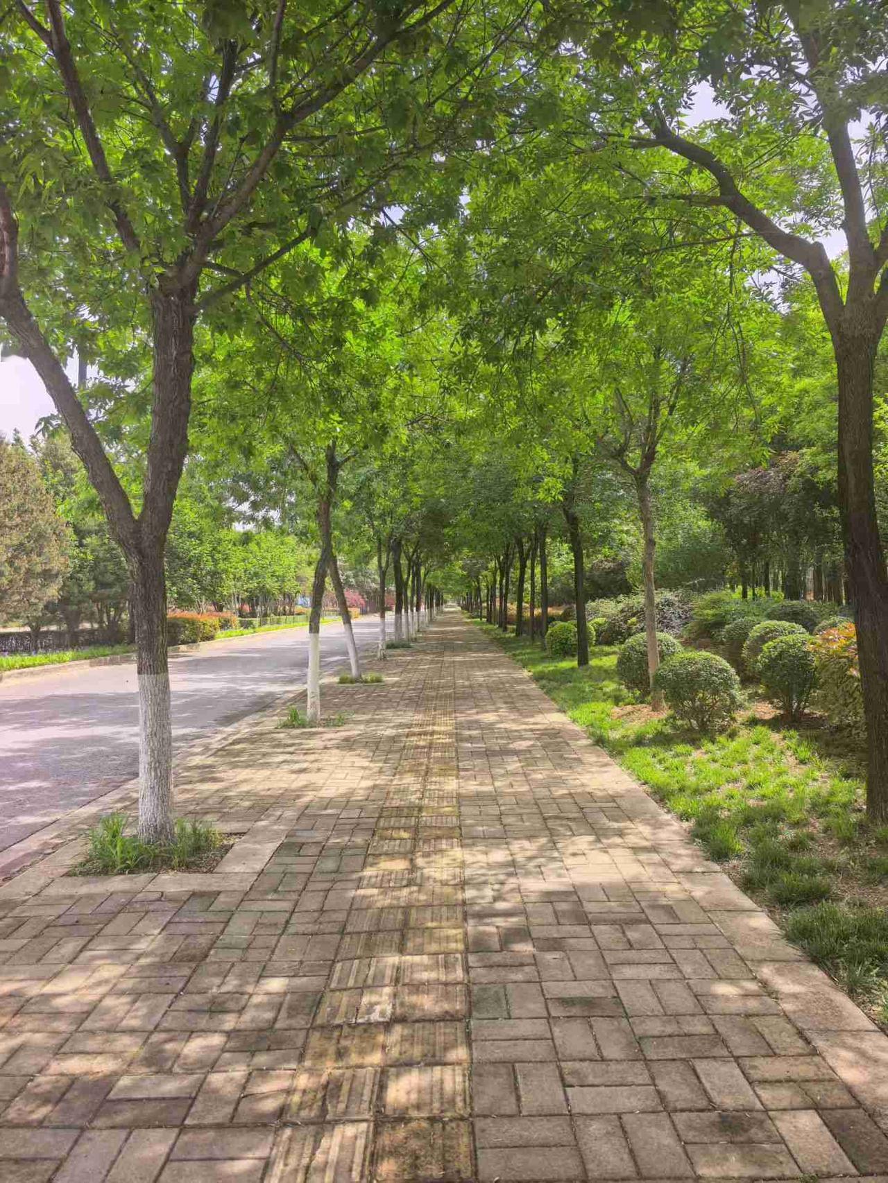 我的今日状态：😁轻松愉快
我这里的天气：☀️晴天