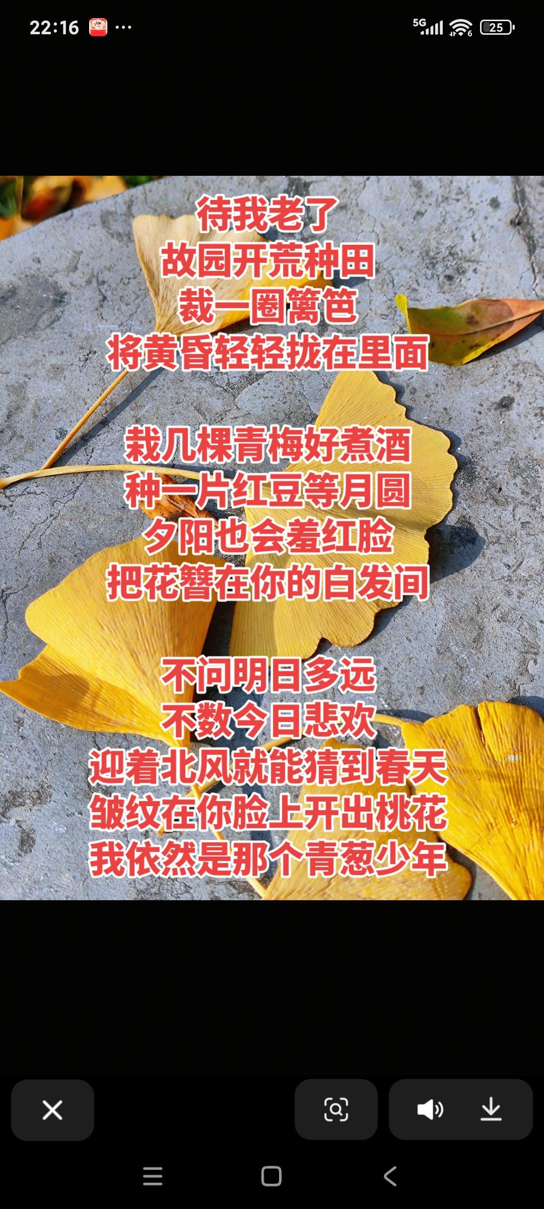 分享我这周有趣的事岁末年尾，莼鲈之思顿起，你，好吗？