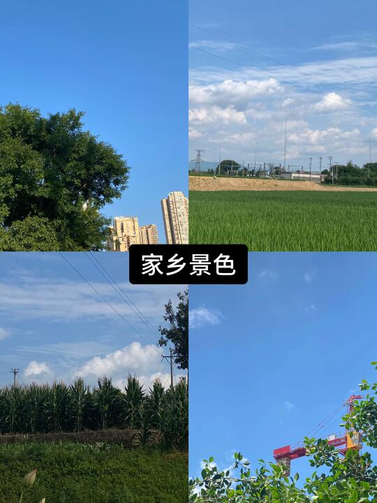 2025｜向前走 抬头看