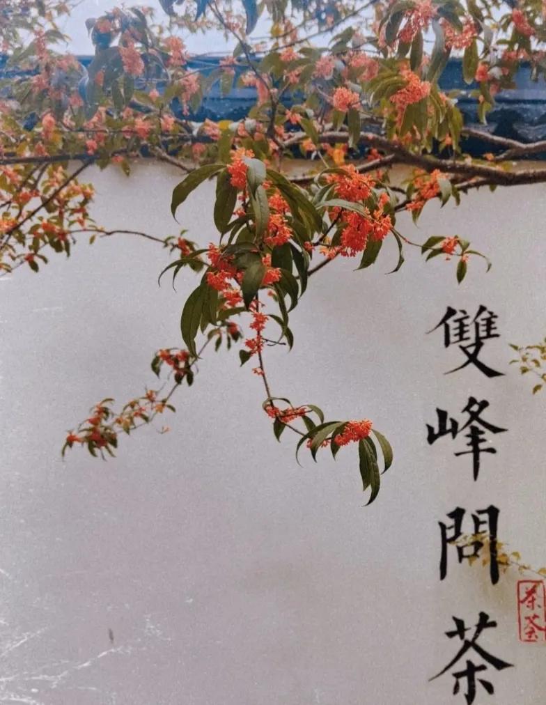 有时候，各自安好，并是最好的幸福！