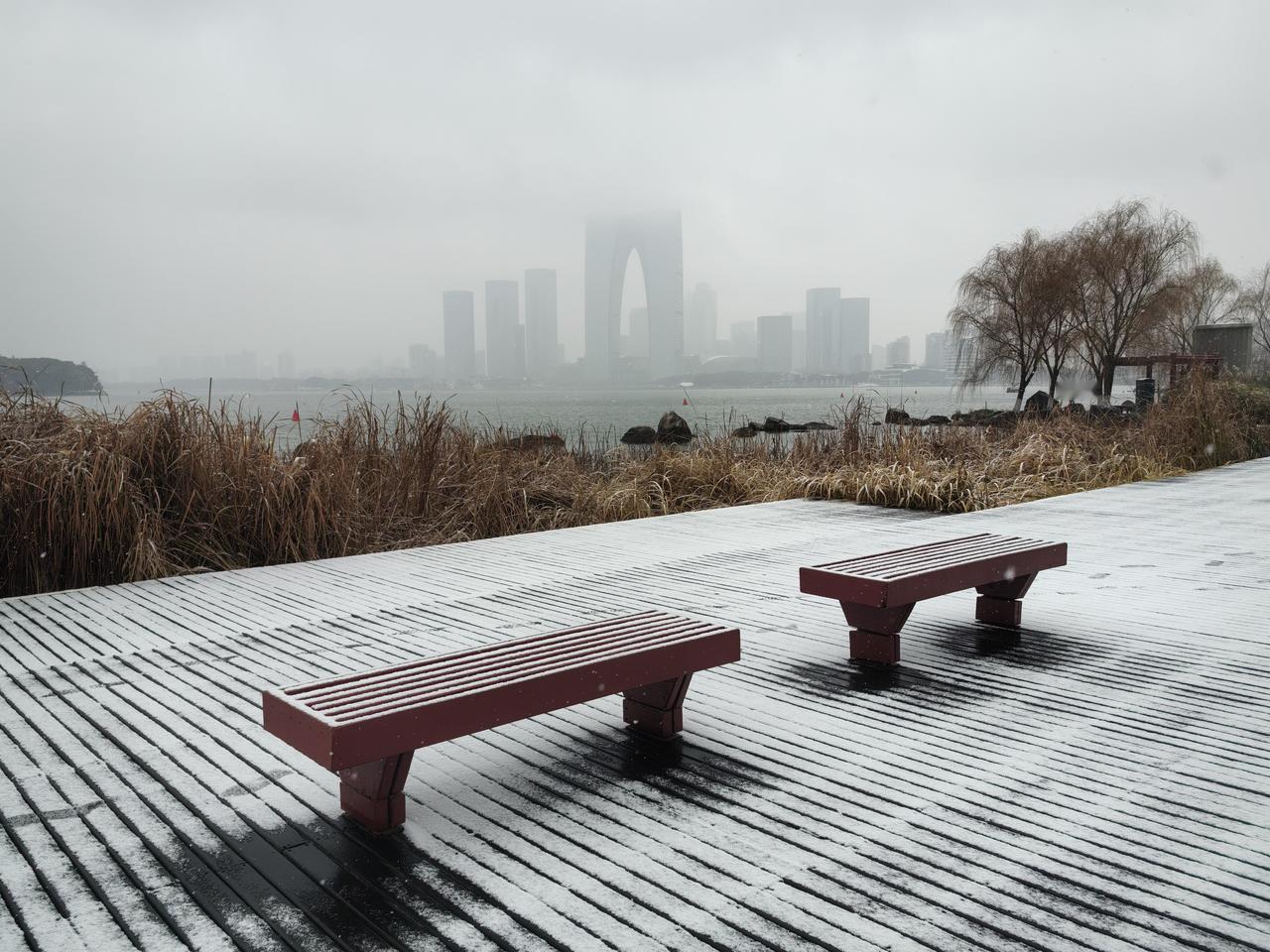 七律.姑苏雪事

寒潮一夜下苏州，玉蝶翩跹扑面柔。
樟树霜颜栖巷道，街窗人影悦高