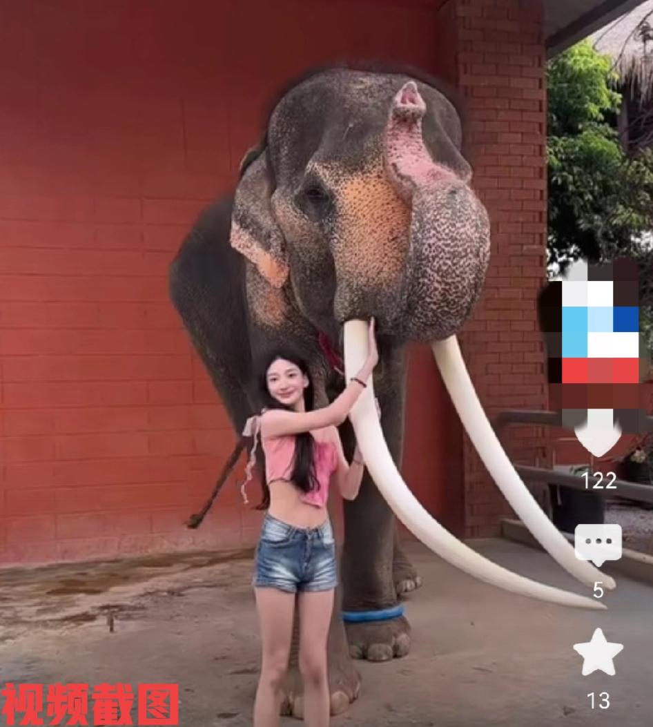 女生跟大象合照。

女生很快乐也很忐忑，没有想过有一天竟然与大象合影，这心情自然